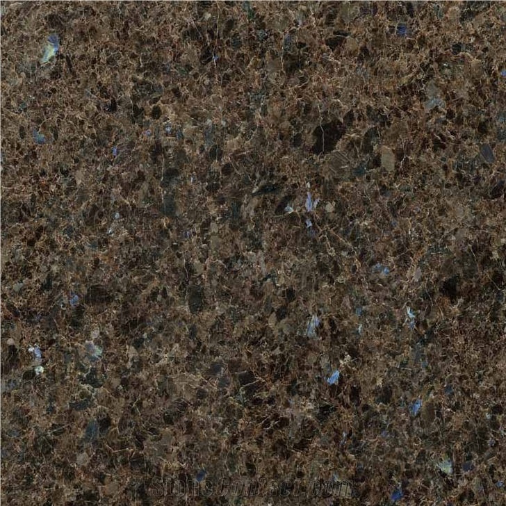 Antique Labrador brown 