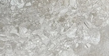 Carnival Grey 